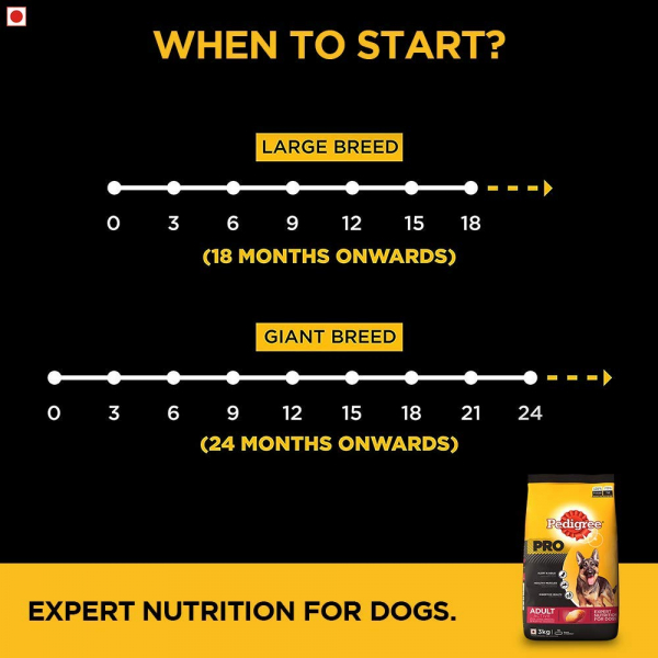 Pedigree PRO Expert Nutrition Active Adult Large Breed Dog (18 Months Onwards) Dry Dog Food, 10kg Pack