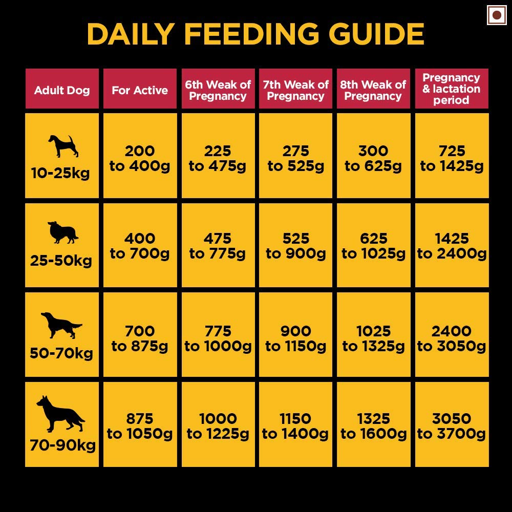 Pedigree PRO Expert Nutrition Active Adult Large Breed Dog